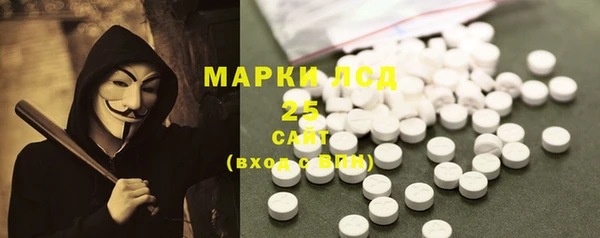 МДПВ Бородино