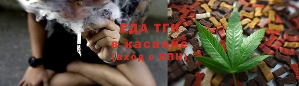 МДПВ Бородино