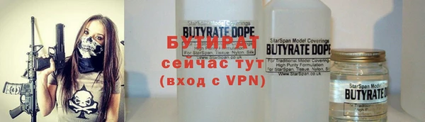 МДПВ Бородино