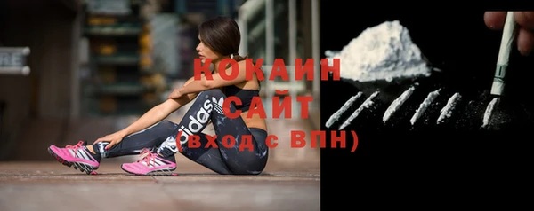 стаф Вязники