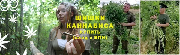 МДПВ Бородино