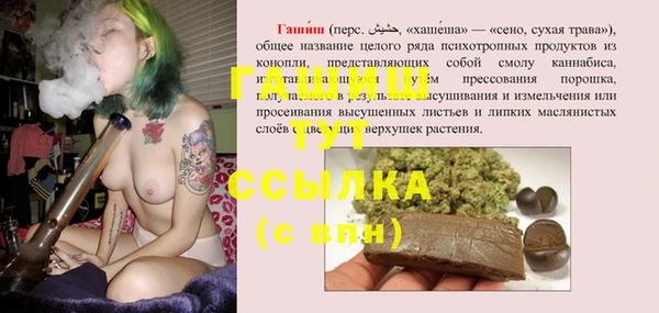 МДПВ Бородино