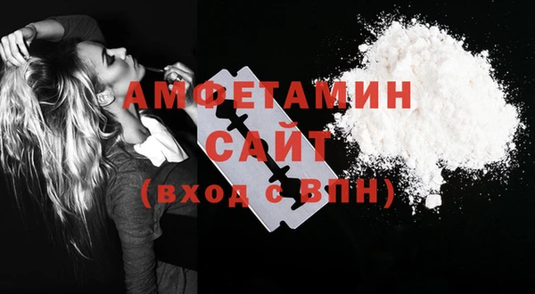 МДПВ Бородино