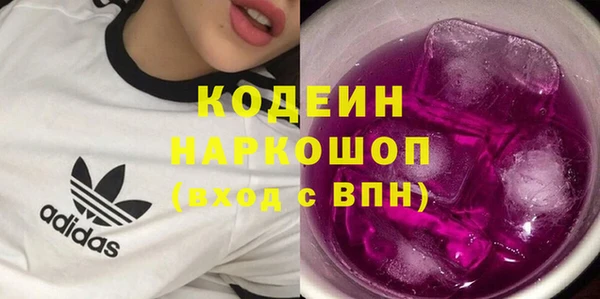 МДПВ Бородино