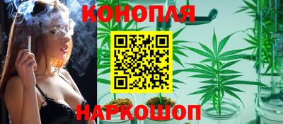 стаф Кандалакша