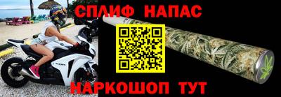 гидропоника Камышлов