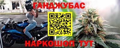 гидропоника Камышлов