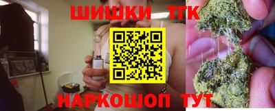стаф Кандалакша
