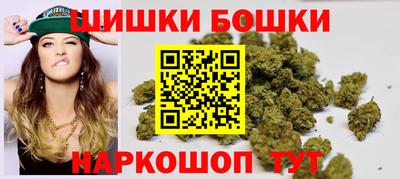 гидропоника Камышлов