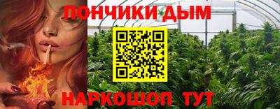 гидропоника Камышлов