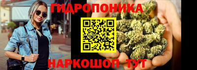 гидропоника Камышлов