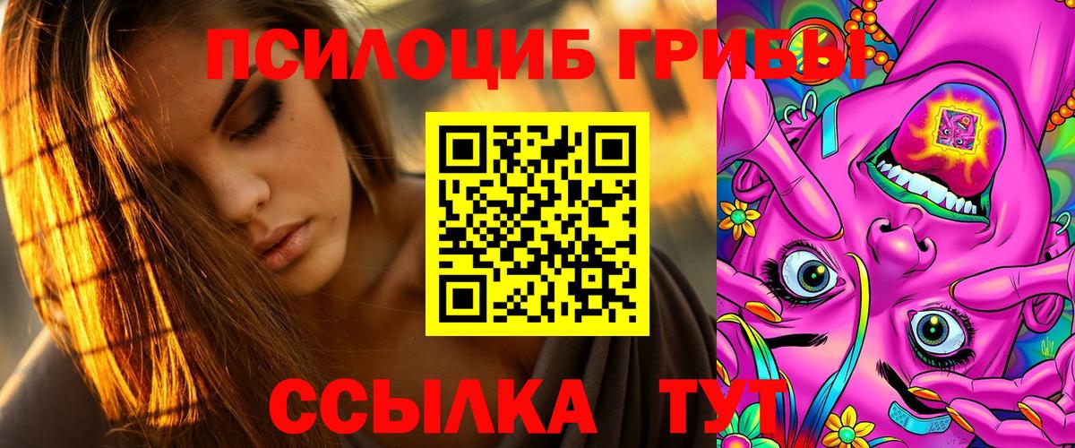 Галлюциногенные грибы прущие грибы Калининград