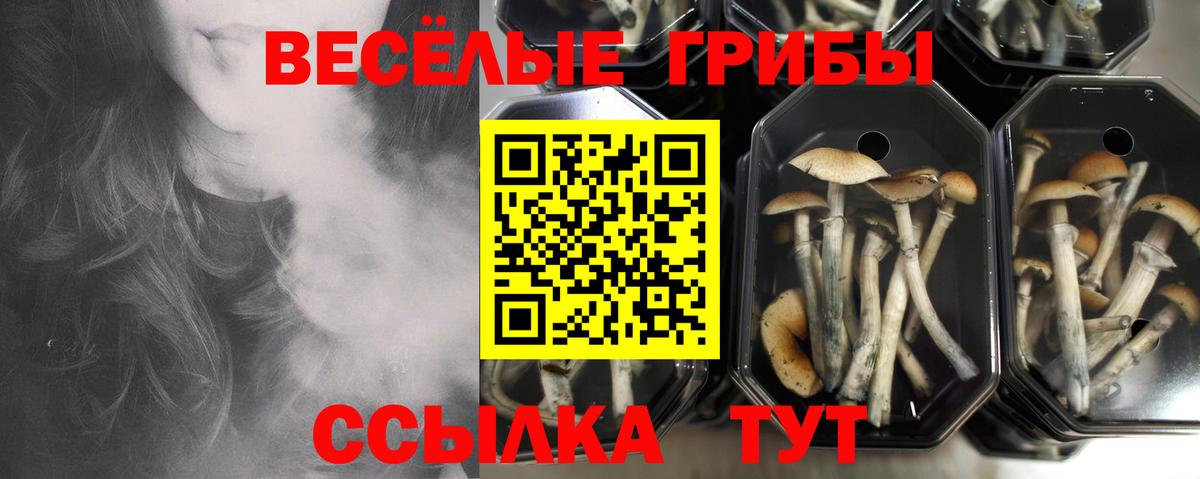 Канабис Калининград